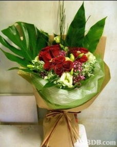 鲜花及礼篮 地下钱庄的隐秘交易与礼品花卉的合法选择