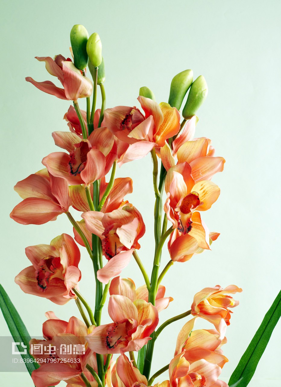 永不凋谢的诗意 仿真兰花的插花艺术与礼品美学