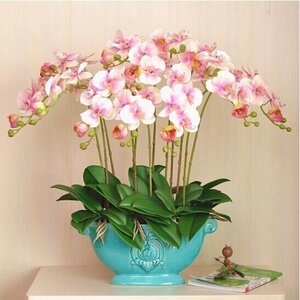 礼尚往来，情谊生香 全年节日花卉礼品精选指南